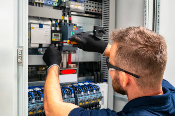 Best Electrical System Inspection  in Necedah, WI