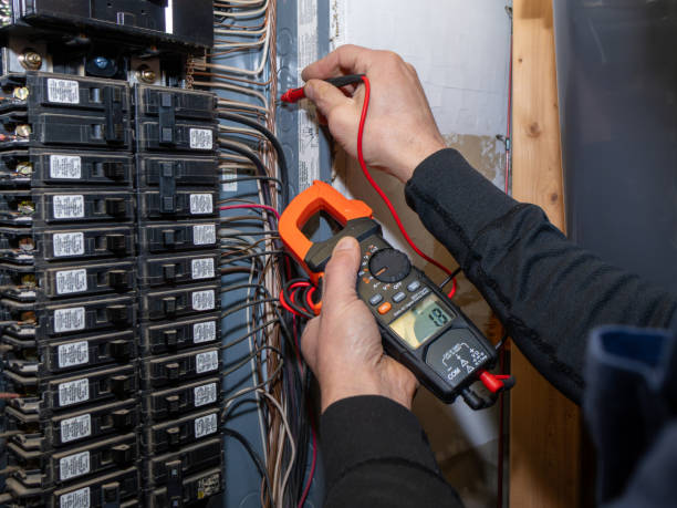 Best Electrician for Home Renovation  in Necedah, WI
